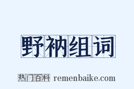 野衲组词是什么意思的图片